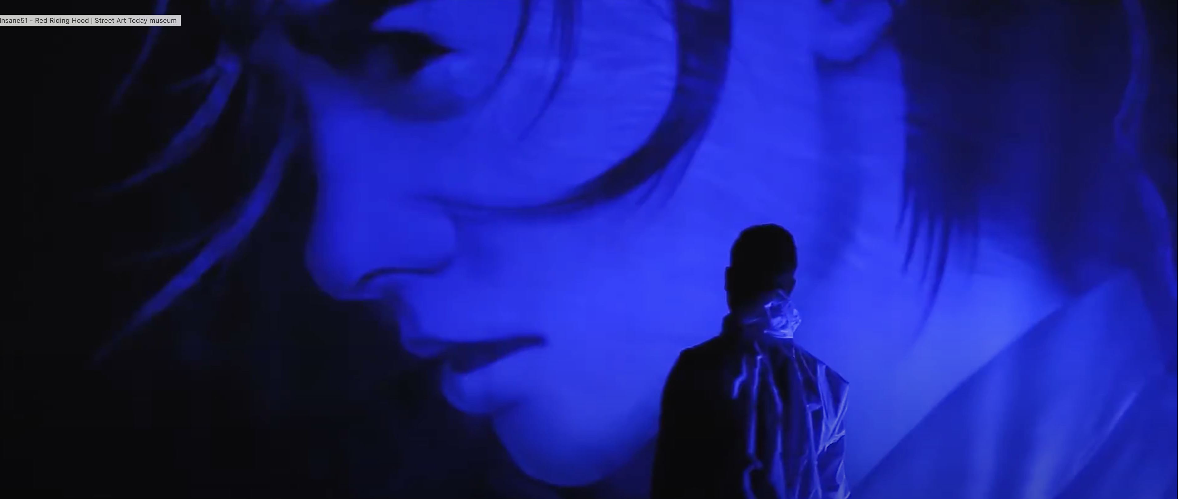 Insane51 x Street Art Today Museum